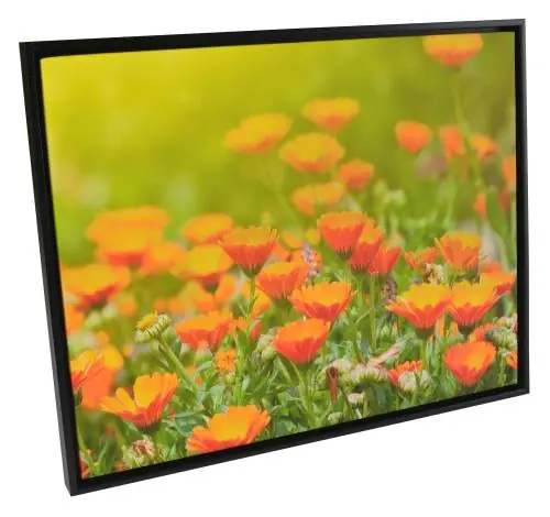 Preț promoțional Ramă Åsen Ramă pentru tablou tip canvas Negru - Mărime la alegere