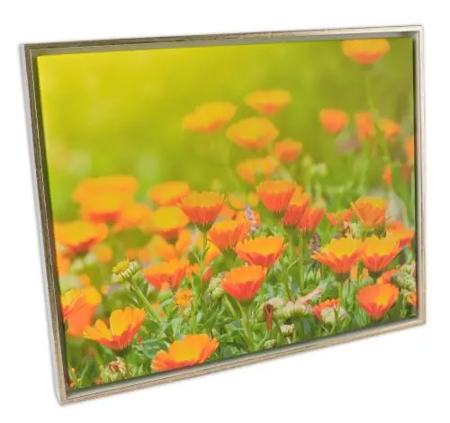 Ramă Åsen Ramă pentru tablou tip canvas Alb/Auriu - Mărime la alegere Retur ușor