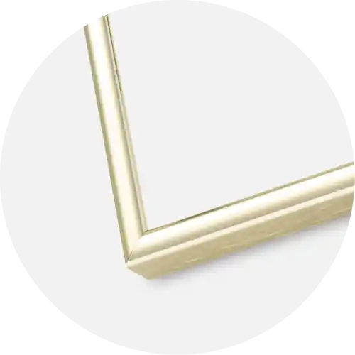 Livrare rapidă Rama Nielsen Premium Classic Sticla Auriu 70x100 cm