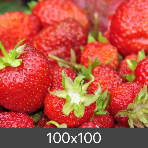 Redimensionare Standard Photo Glossy 290 g (100x100 cm/Mărire - FineArt Photo Glossy) Plată securizată