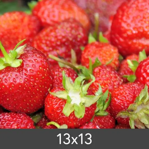 Reducere Redimensionare Standard Photo Glossy 290 g (13x13 cm/Mărire - FineArt Photo Glossy)