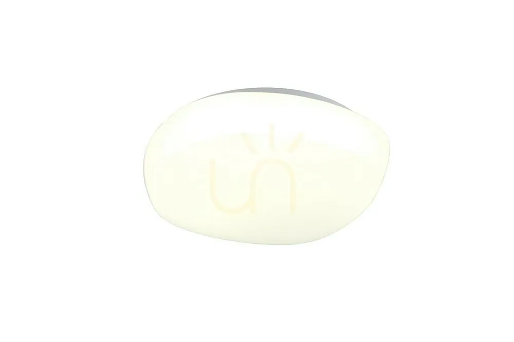 RL ROTUNDA Plafond R63071101 Plată sigură