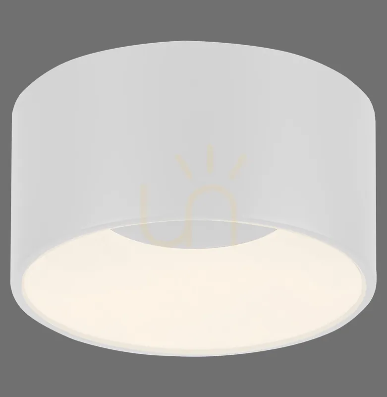 TANIKA Plafond 14325-16 Alb 1xLED Ieftin