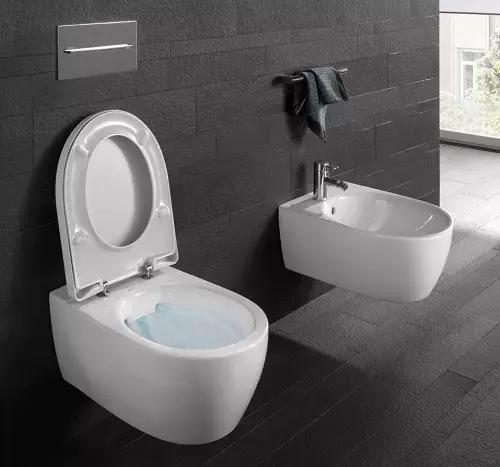 Vas wc suspendat Rimfree Geberit ICon 204060000 Preț redus