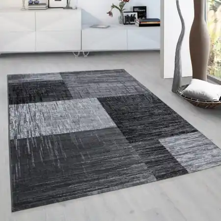 Covor Plus Negru V1 120x170 cm Ofertă