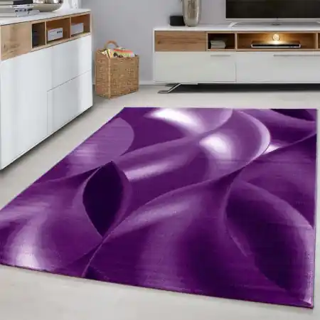 Premium Covor Plus Lila V2 120x170 cm