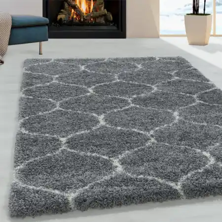 Livrare expres Covor Salsa Gri 280x370 cm