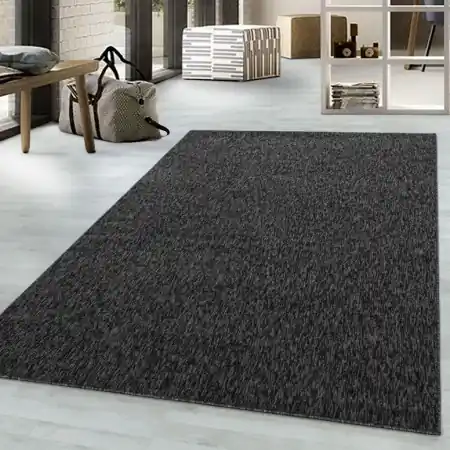 Noutate Covor Nizza Antracit 200x290 cm