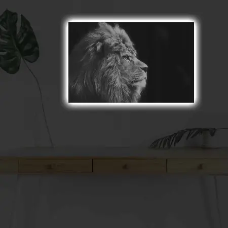 Preț redus Tablou cu LED 4570DHDACT Multicolor 45x70 cm