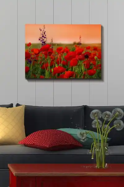 Mai ieftin Tablou Kanvas Multicolor 50x70x3 cm