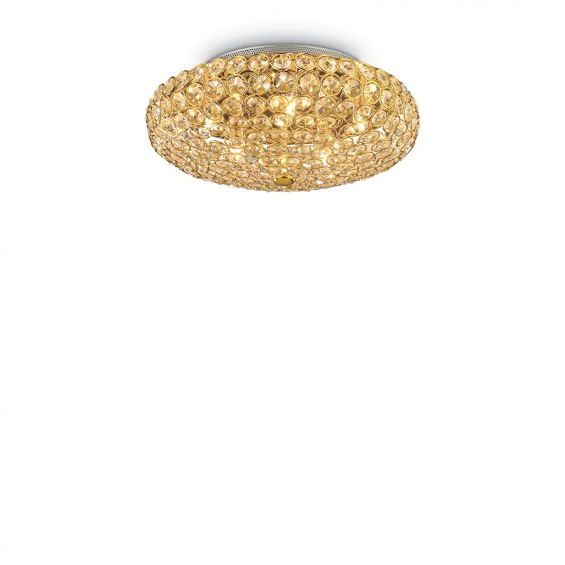 King PL5 Oro Ofertă specială