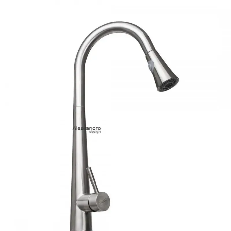 Baterie Bucatarie cu Dus Extractibil, Inox SUS304, Satinat, CF021 Bestseller